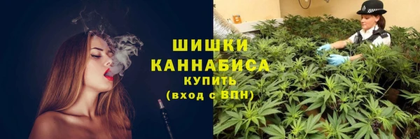 винт Надым