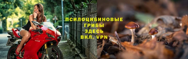 прущие крисы Михайлов