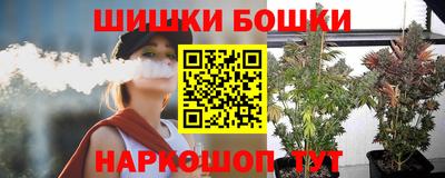 гидра Камышлов