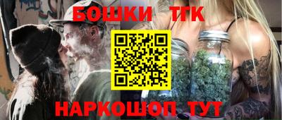 гидра Камышлов