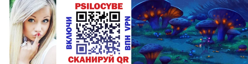 Псилоцибиновые грибы Psilocybine cubensis omg как войти даркнет как зайти купить наркотик Набережные Челны