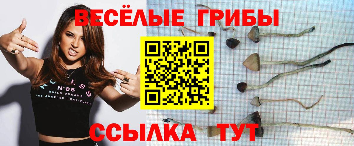Галлюциногенные грибы мицелий Набережные Челны
