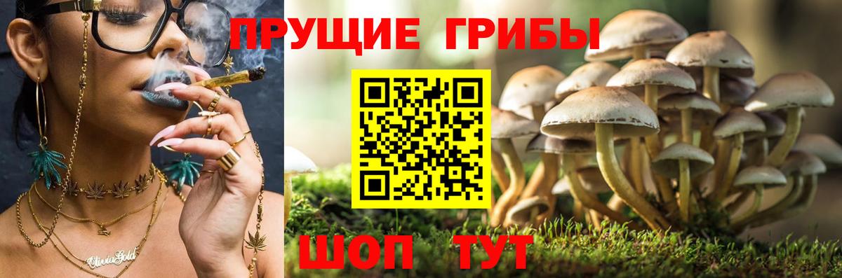 Галлюциногенные грибы мухоморы  Вход с VPN  Набережные Челны 