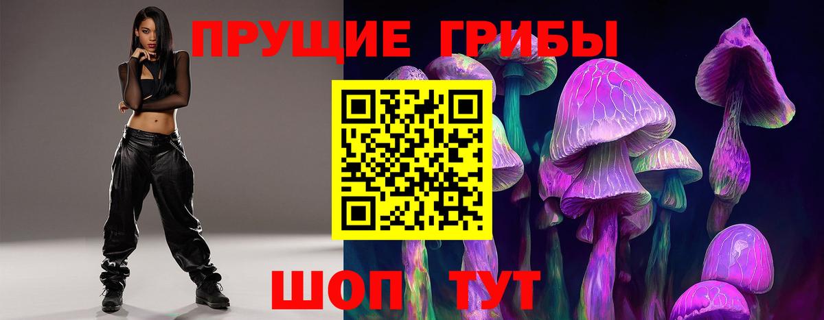 Галлюциногенные грибы Psilocybine cubensis Набережные Челны